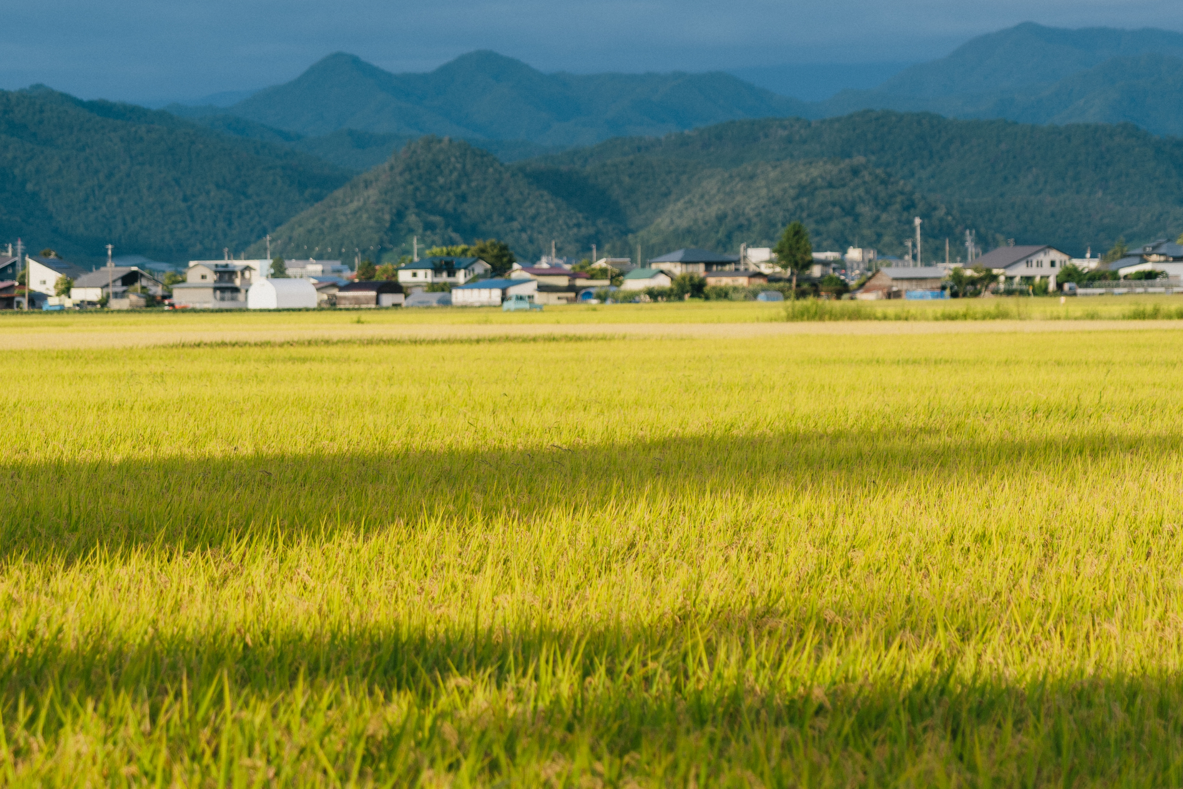 高畠町和田の田園風景