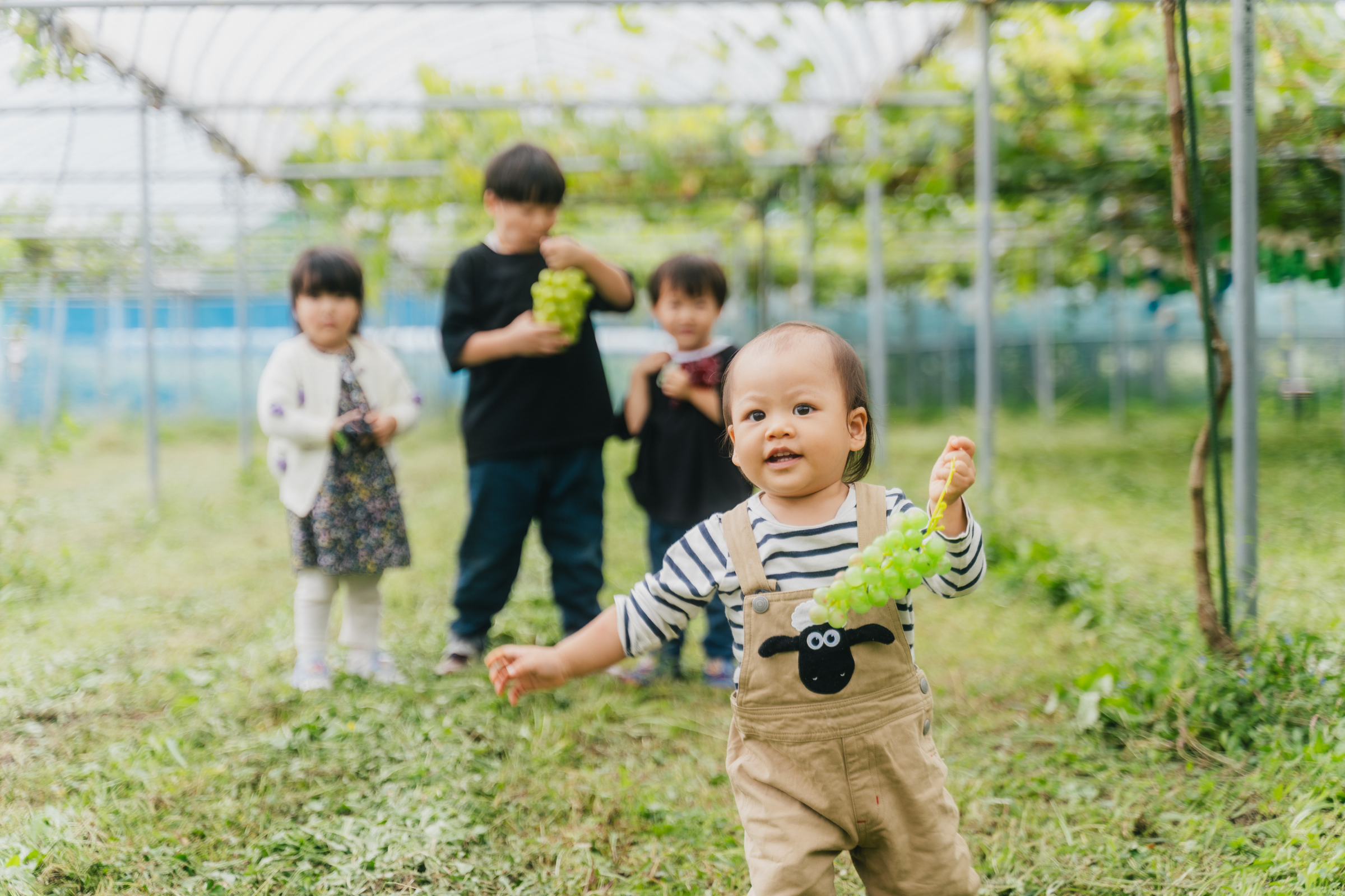 ぶどう畑で過ごす子どもたち
